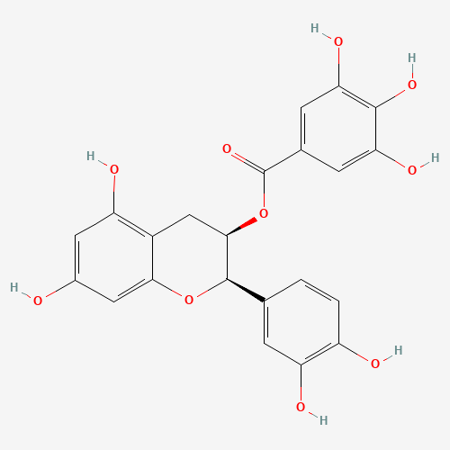 1257-08-5 (-)-Epicatechin gallate chemical structure