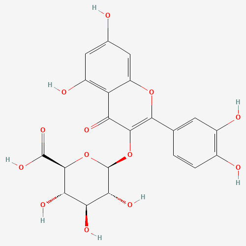 22688-79-5 Quercetin 3-O-β-D-Glucuronide chemical structure
