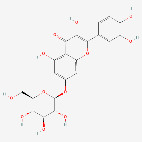 491-50-9 Quercetin-7-O-glucoside chemical structure