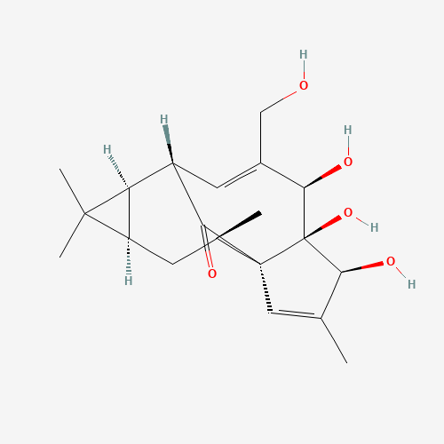30220-46-3 Ingenol chemical structure