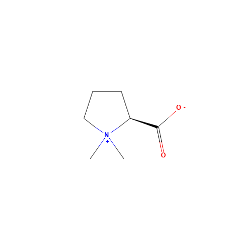 471-87-4 Stachydrine chemical structure