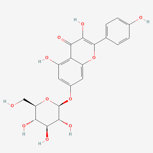 16290-07-6 Kaempferol-7-glucoside; Kaempferol-7-O-β-D-glucopyranoside chemical structure