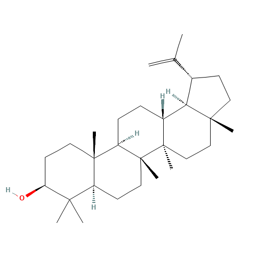 545-47-1 Lupeol chemical structure