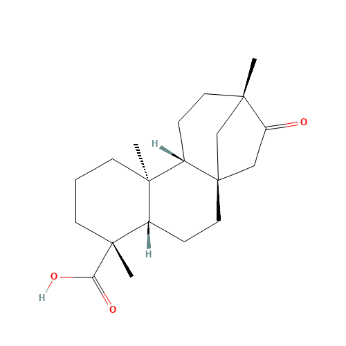 27975-19-5 Isosteviol chemical structure
