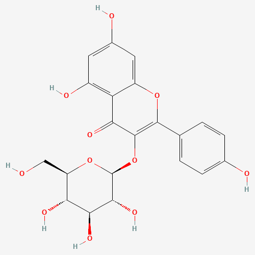 480-10-4 Astragalin chemical structure