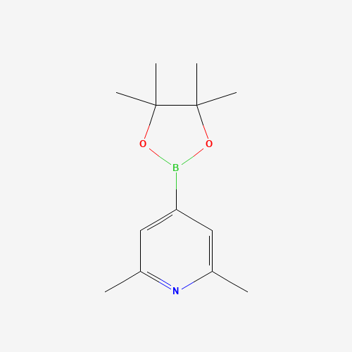 325142-95-8 2,6-Dimethyl-4-(4,4,5,5-tetramethyl-1,3,2-dioxaborolan-2-YL)pyridine chemical structure